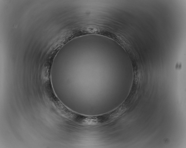 X0000113340606200909291031