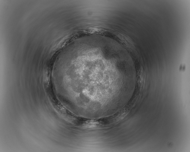 X0000113340607200909291031