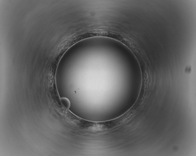 X0000113340609200909291031