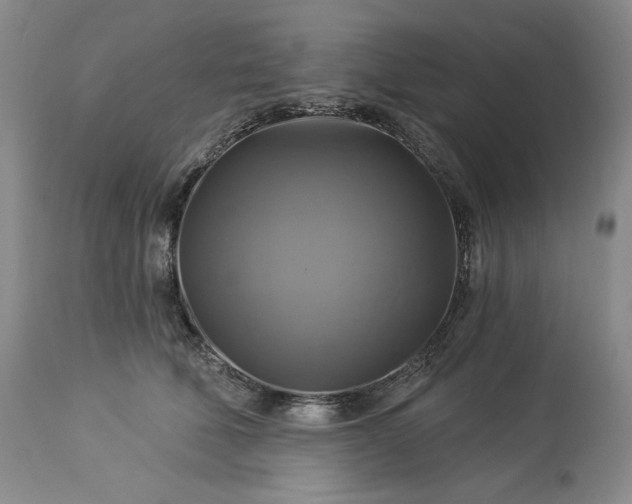 X0000113340610200909291031