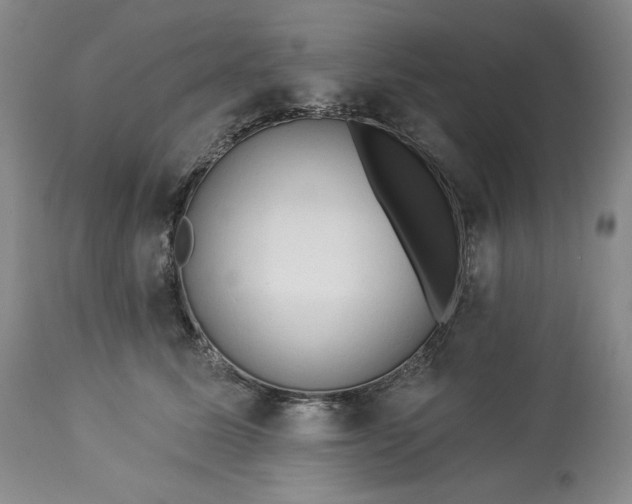 X0000113340611200909291031