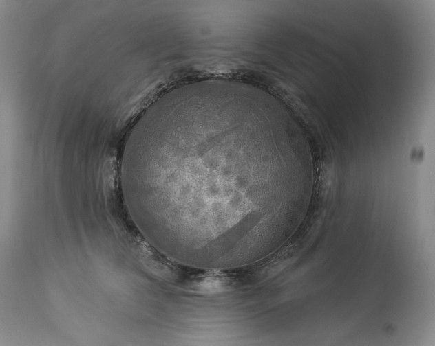 X0000113340612200909291031