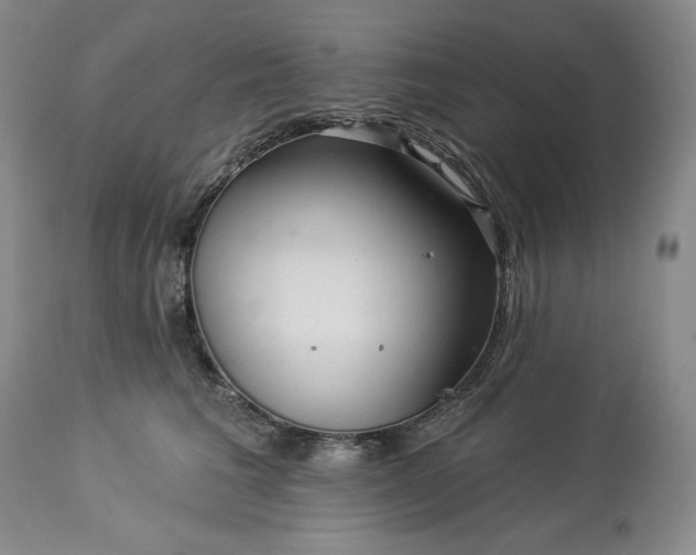 X0000113340613200909291031