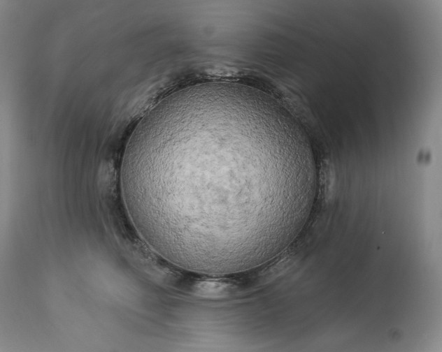 X0000113340614200909291031