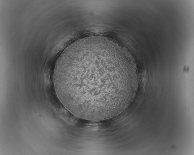 X0000113340615200909291031