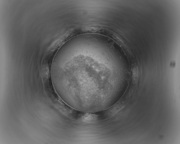 X0000113340617200909291031