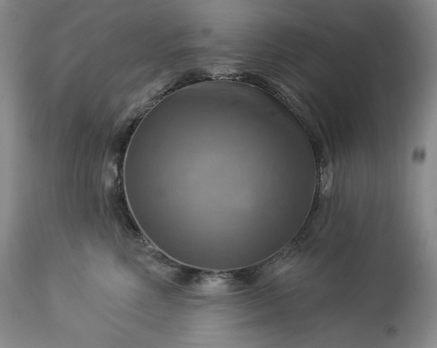 X0000113340618200909291031