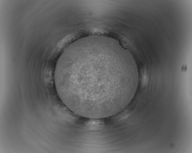 X0000113340619200909291031