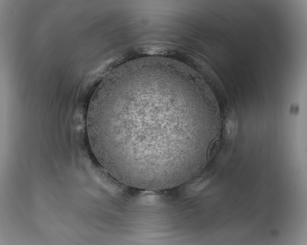 X0000113340620200909291031