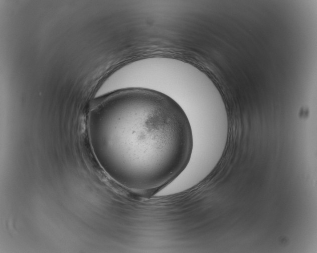 X0000113340621200909291031