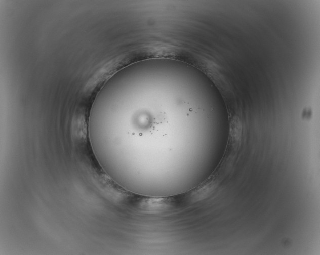 X0000113340622200909291031