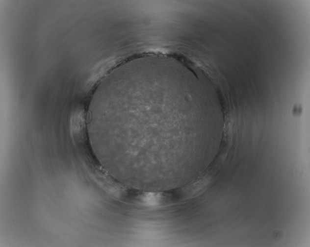 X0000113340623200909291031