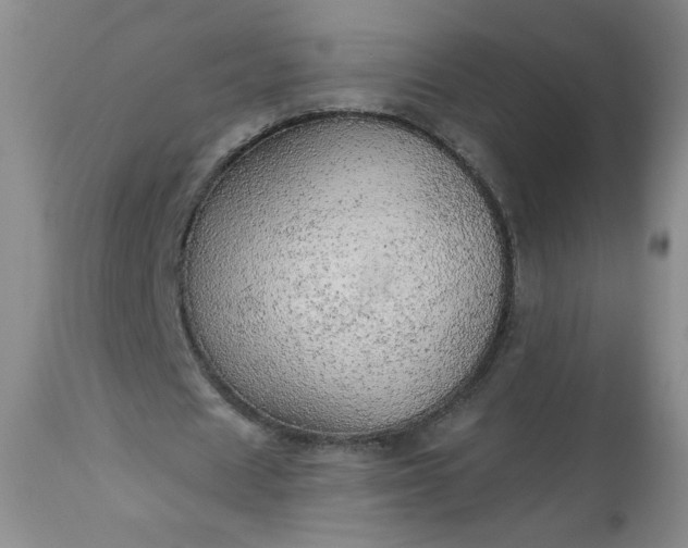 X0000113340625200909291030