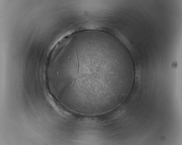 X0000113340626200909291030