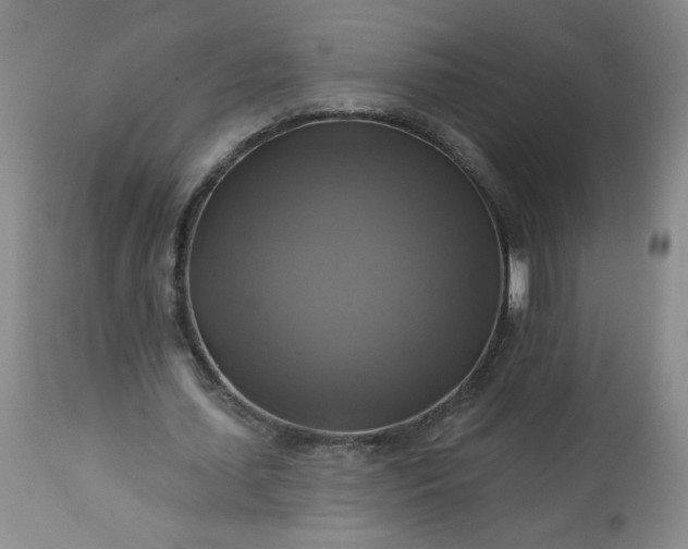 X0000113340627200909291030