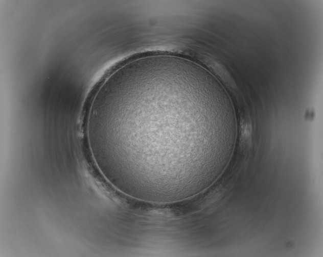 X0000113340628200909291030