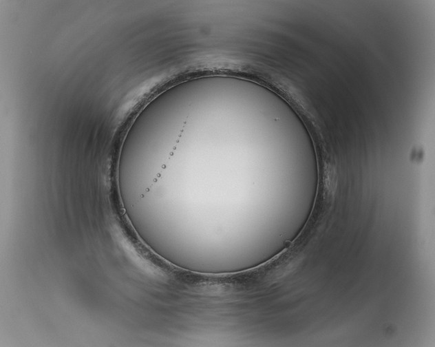 X0000113340629200909291030