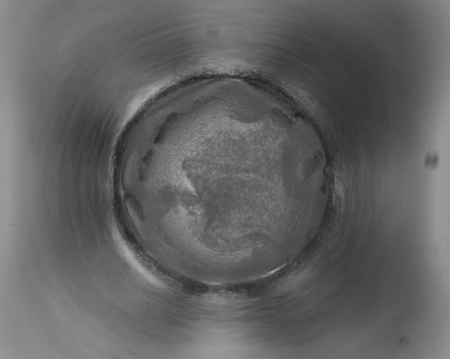 X0000113340630200909291030