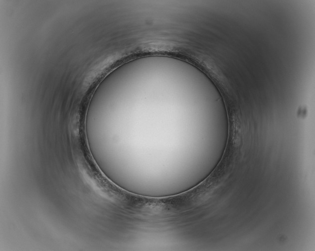 X0000113340631200909291030