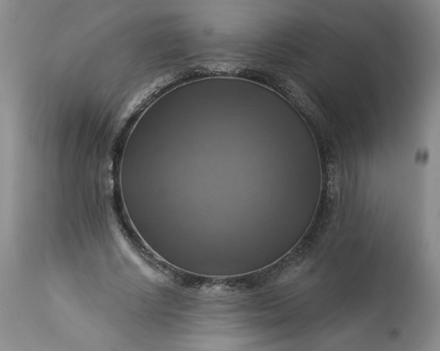 X0000113340634200909291030