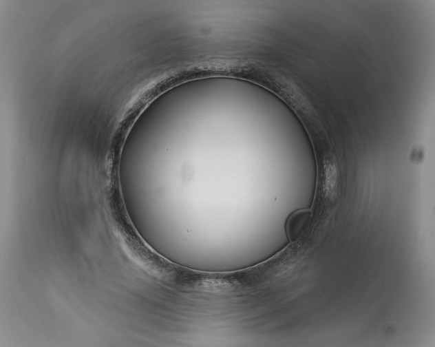 X0000113340636200909291031