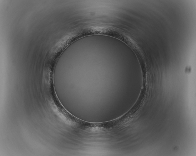 X0000113340637200909291031