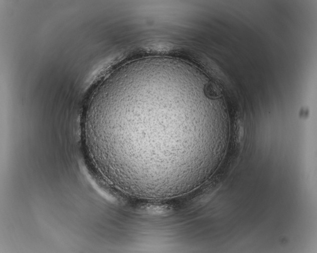 X0000113340638200909291031