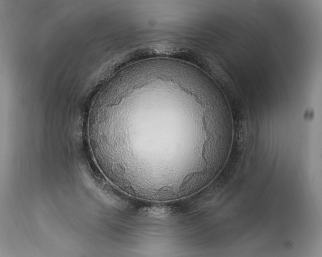 X0000113340639200909291031