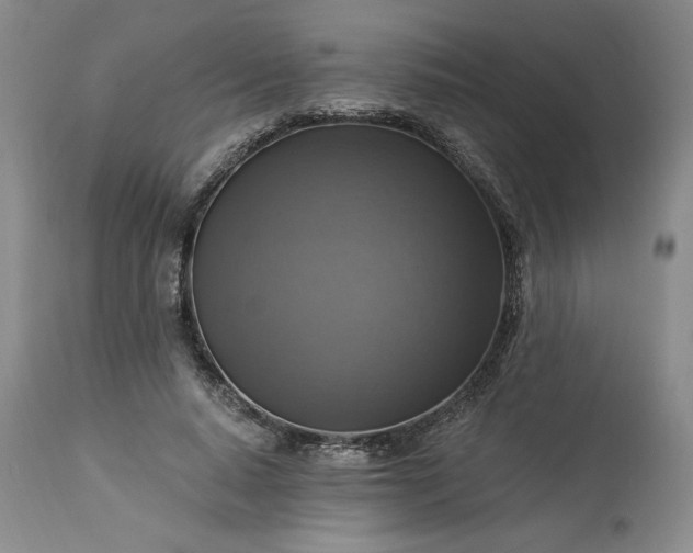 X0000113340640200909291031