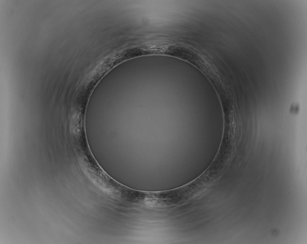 X0000113340641200909291031