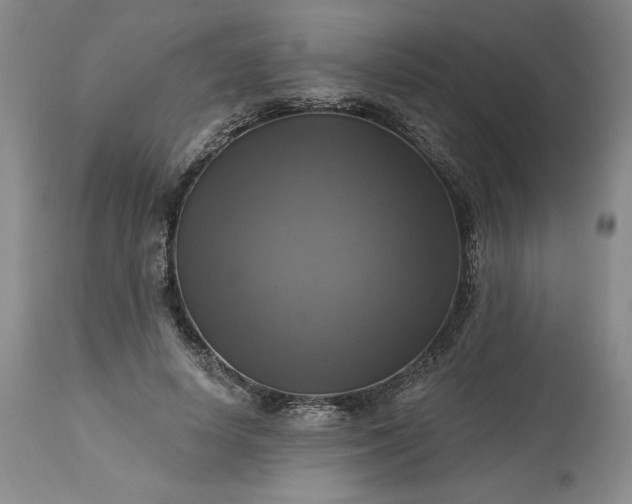 X0000113340642200909291031