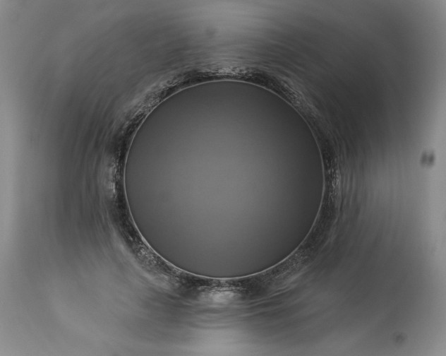 X0000113340643200909291031