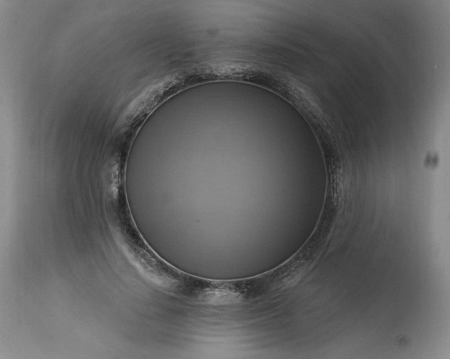 X0000113340644200909291031