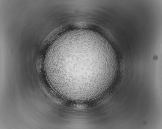 X0000113340645200909291031