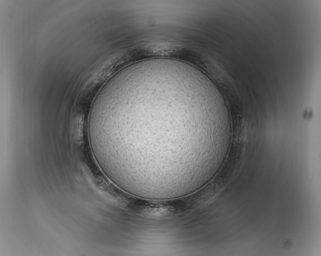 X0000113340646200909291031