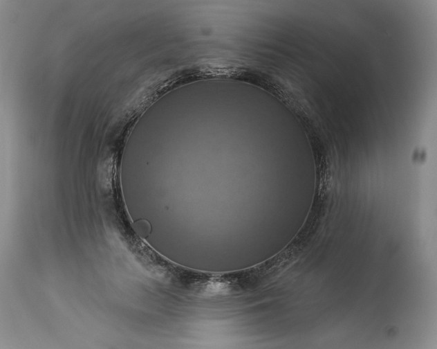 X0000113340647200909291031