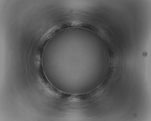 X0000113340648200909291031