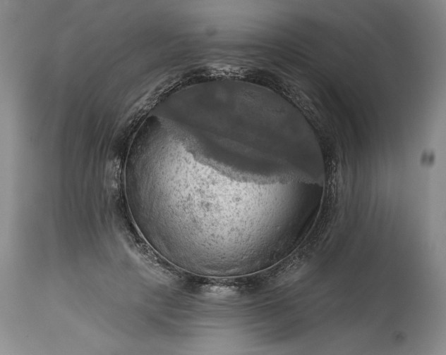 X0000113340649200909291031