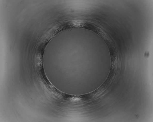 X0000113340651200909291031