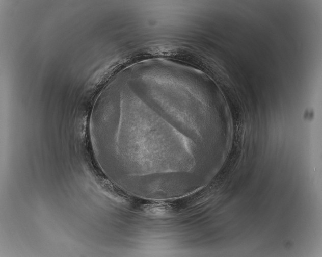 X0000113340652200909291031