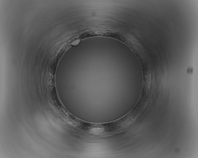 X0000113340653200909291031