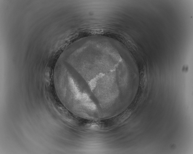 X0000113340655200909291031