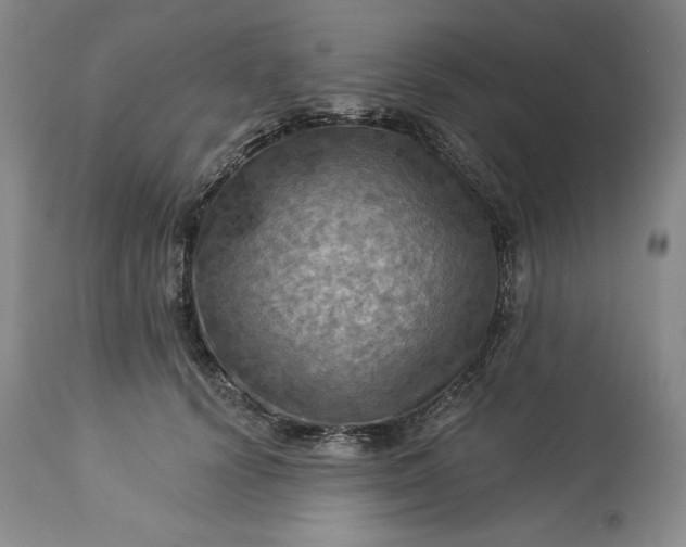 X0000113340656200909291031