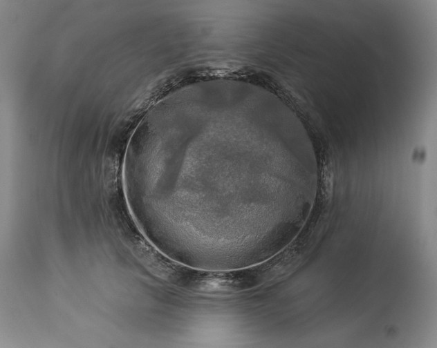 X0000113340657200909291031