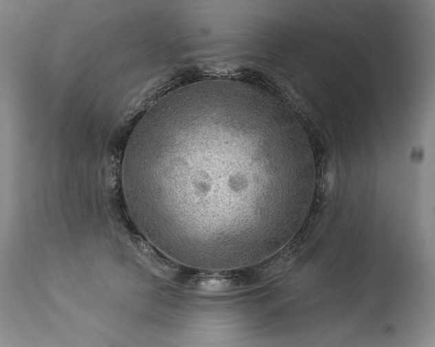 X0000113340658200909291031