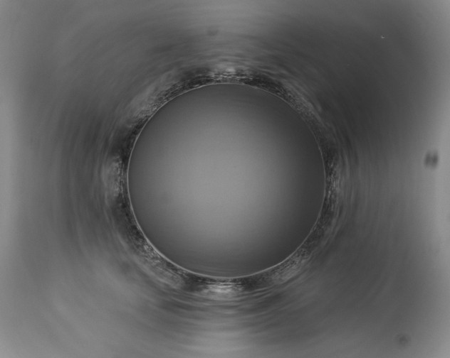 X0000113340659200909291031