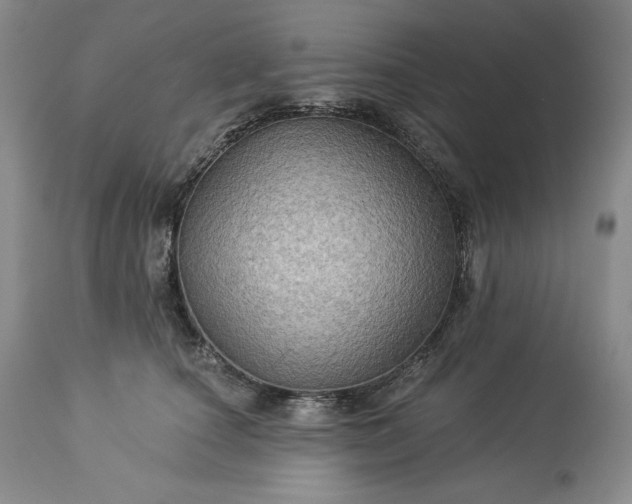 X0000113340660200909291031