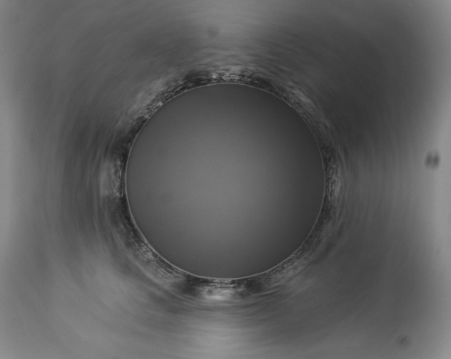 X0000113340661200909291031