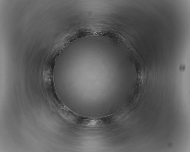 X0000113340663200909291031