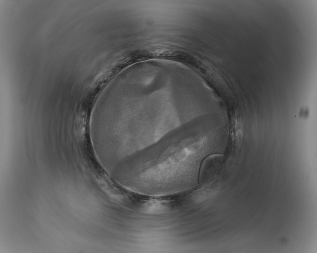 X0000113340664200909291031